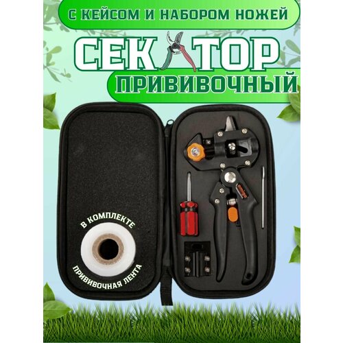 ���� ������� ������� �����������, ������ �� 1150 ���