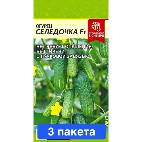 ���� ������ ������ ������ ����� 