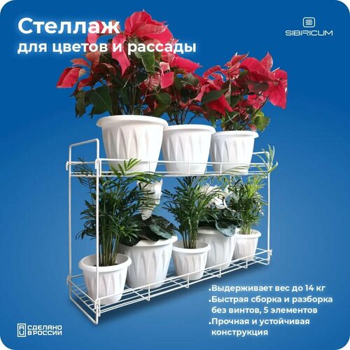    ,   ,  , , 2 , ,   1440 