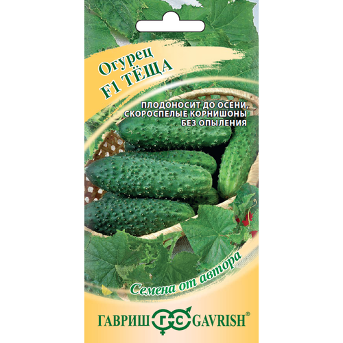 ���� ������ ������ ���� F1 10�� ������������������ ������ (������) �����, ������ �� 66 ���