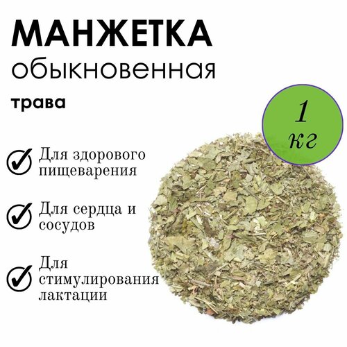    ,       ,    1,   1480 