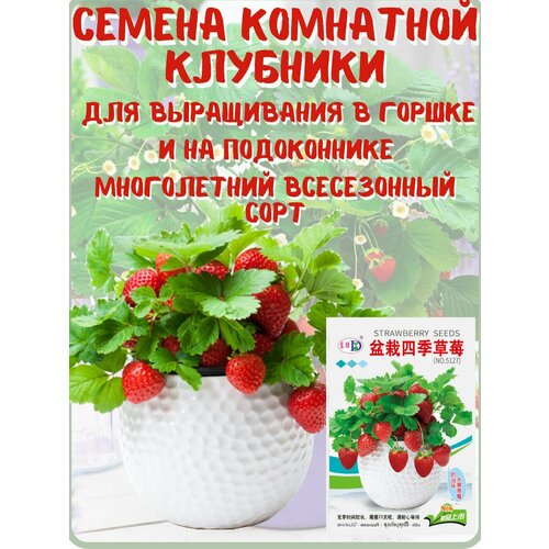 ���� ������ �������� ������������ ��� ����������� �� ����������� ��� � ������, ������ �� 450 ���