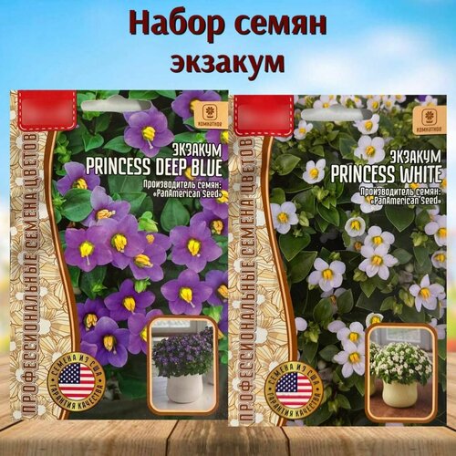      Princess  2 .,   385 