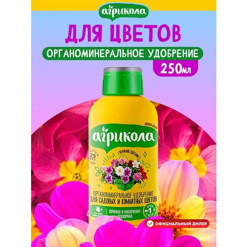 ���� ��������� �������� 