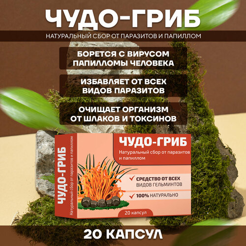 ���� ��������������� ���� ���� �� ��������� � �������� 1 �������, ������ �� 460 ���