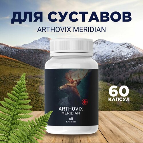      Arthovix Meridian   -     , -, 