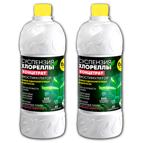 ���� ��������� �������� ����������, 2 �� �� 1 �, ������ �� 733 ���