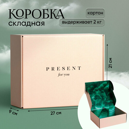 ���� ������� �������� ��������, 27 ? 21 ? 9 ��, ������ �� 490 ���