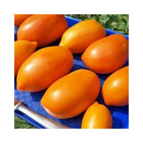 ���� ������������� ������ ������ ������� ����������, ������ �� 102 ���