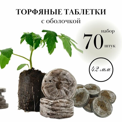       , 70 , d 42 ,      ,   ,   919 