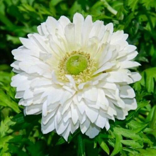    . . 5-6   13 .,   788 