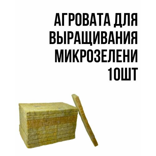 ���� �������� ��� ����������� ����������� 10��, ������ �� 379 ���