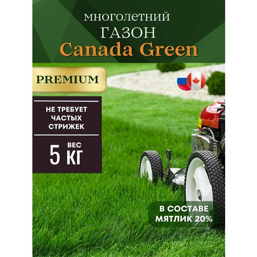 ���� �������� ����� ������ ����������� 5 �� Canada Green Premium, ������ �� 3300 ���