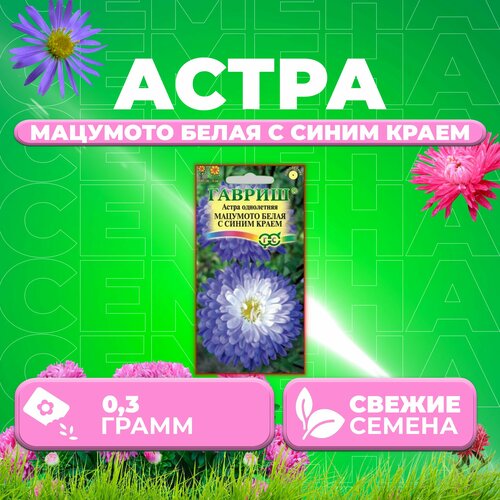 ���� ����� �������� ����� � ����� �����, 0,3�, ������, ��������� ��������� (1 ��), ������ �� 42 ���