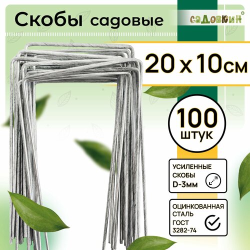 ���� ����� ������� �-�����, ������ 20�� � 10��, d-3��, (100 ��), ������ �� 999 ���