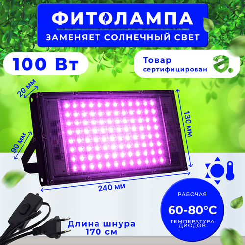     100 ,   ,  ,  ,       -     , -, 