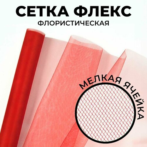 ���� �������� ��� ������ � �������� ����� 