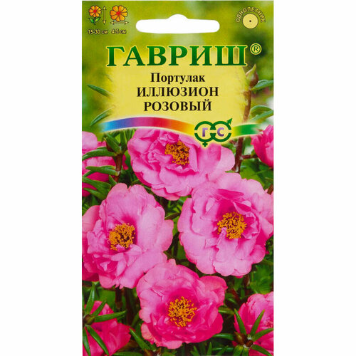 ���� ������. �������� 