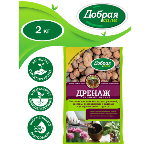 ���� ������ ���� ������������ ������ ������ 2 �����, ������ �� 289 ���