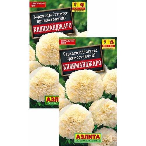 ���� �������� ������������ ������������ (0,05 �), 2 ������, ������ �� 239 ���