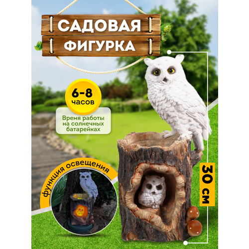 ���� ������� ������� ��� ���� � ����. ���������� �� ��������� . ���� ����� 30 ��, ������ �� 2500 ���