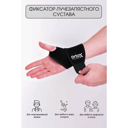 ���� �������� �������������� ������� OrtoX, ������ �� 505 ���