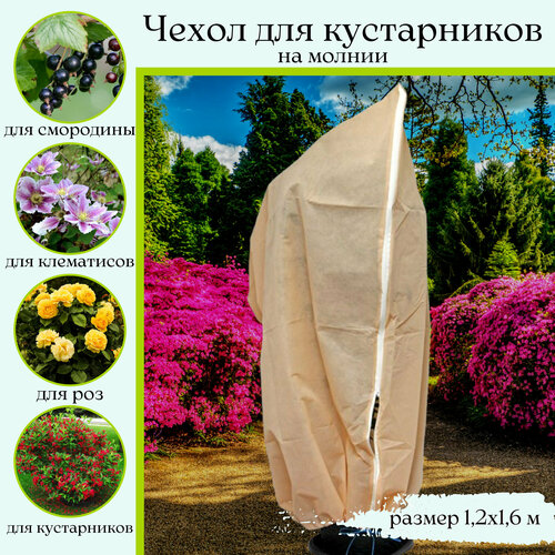 ���� ����� ��� ��� � ������ �� ������ 