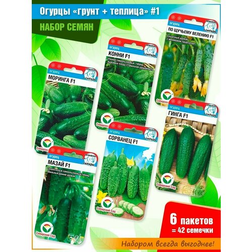 ���� ����� ����� ������� #1 �� ���������� ���� (6 �����), ������ �� 435 ���