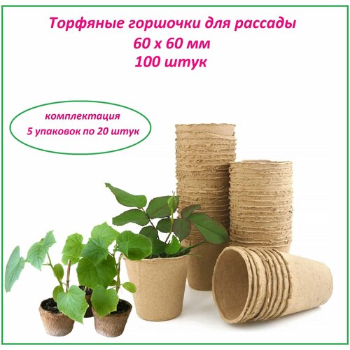 ���� �������� �������� ��� �������, ����� ����������� 100 ����, d 60 � h 60 ��, ��� ����������� ������� ���� ����� ������� � ��������� ��������, ������ �� 569 ���