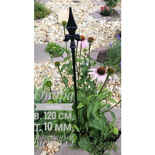 ���� ����� ������� ��� �������� � ������, ��������, ������, �������, ������� 120 ��., ������ �� 1199 ���