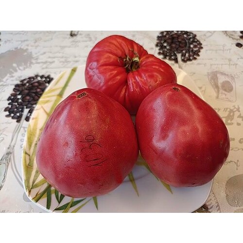 ���� ������������� ������ ������ ������������ �������, ������ �� 104 ���