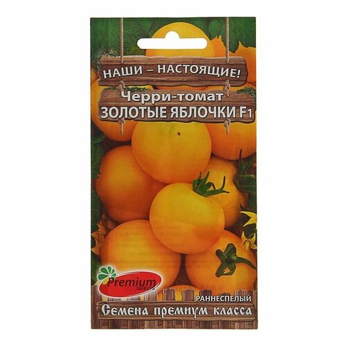 ���� ������ ����� ����� 