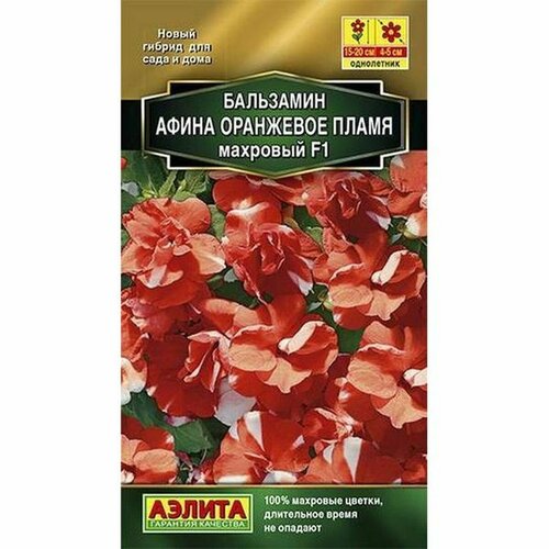 ���� ������ ��������� ����� F1 ��������� ����� ��������, ����������, (������) 5��, ������ �� 146 ���