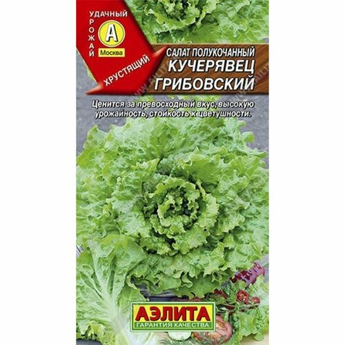 ���� ������ ����� ��������� ����������, ������������, ������������, (������) 0,5�, ������ �� 41 ���