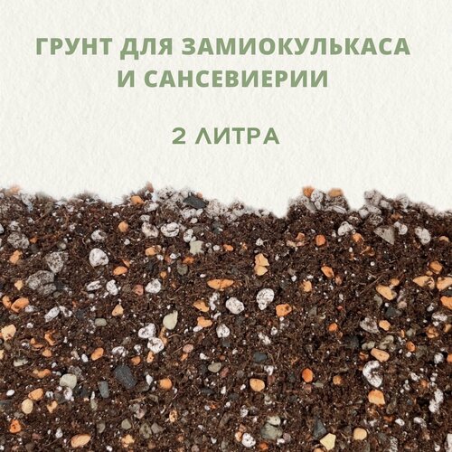 ���� ������� ����� ��� ������������� � �����������. ����� ��� ��������� ��������. 2 �����, ������ �� 810 ���