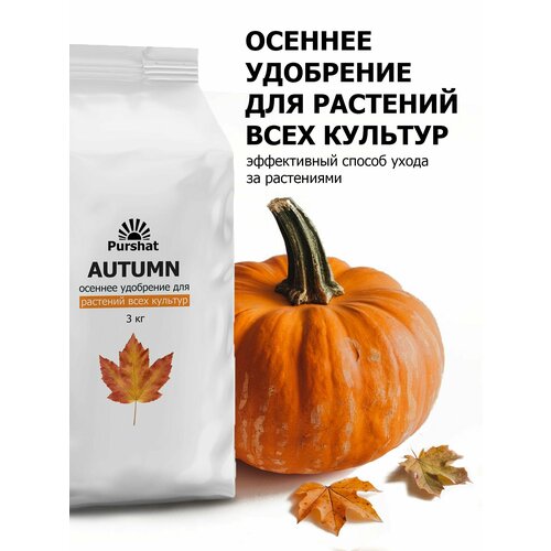 ���� ������� ��������� ��� �������� ���� ������� ������ 3 ��, ������ �� 687 ���