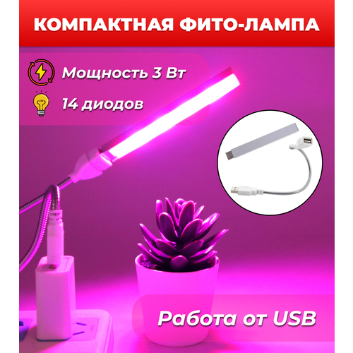        , USB - OG-LDP15   -     , -, 