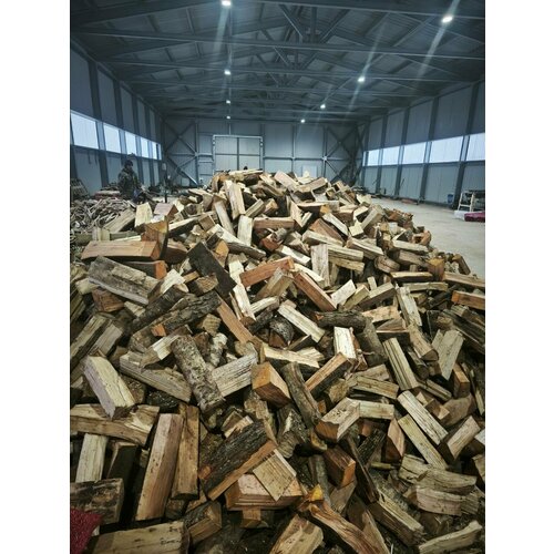 ���� ����� ���� (���������� �����) ��� ����, �����, ������ - �����, 10 ���������, ������ �� 872 ���