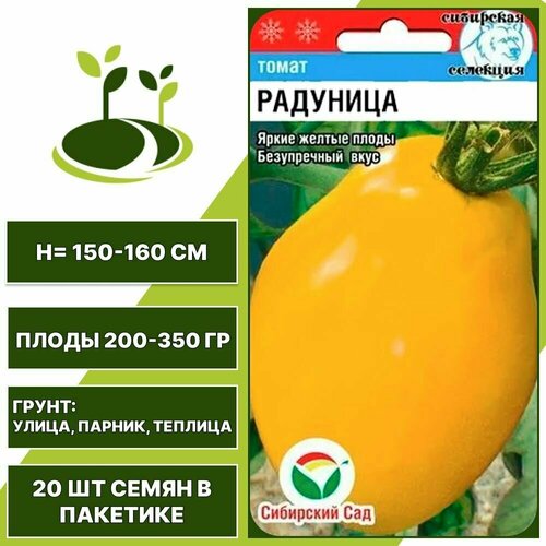 ���� ����� �������� 1 �� ��, ��������� ���, ������������, �������������, ���������� ����� � 1 �������� �� ������������� 20 ��, ������ �� 46 ���