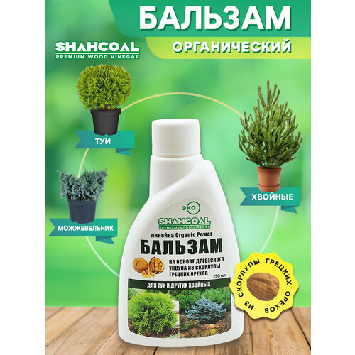 ���� ������� ��� ��� � ������� ������� ������������ ��������� �����������������, ������ �� 350 ���