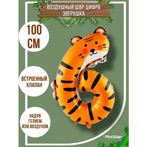 ���� ��������� ��� �����, �������������� ���-����� 6 ��������, ������ �� 263 ���