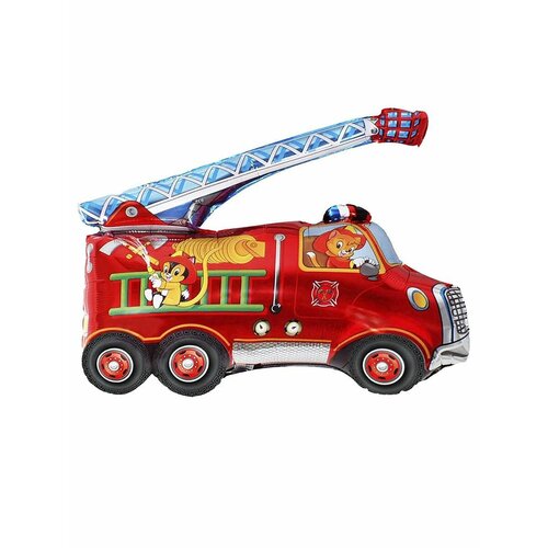 ���� ��������� ��� ��������������, ������ 