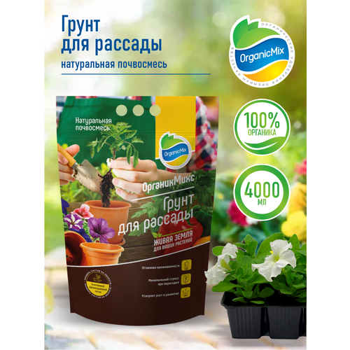 ���� ����� ��� ������� ����������� 4 �����, ������ �� 1125 ���