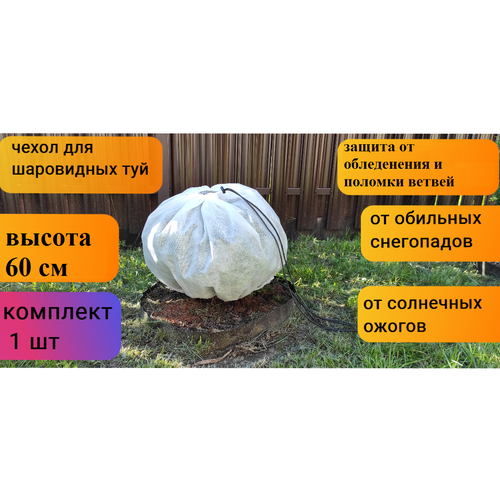 ���� ������ ����� ��� ������ � �������� � ��������/��� ���������� ���/��� ���/��� ��������������/��� ��������� ������ 60*80 ��, 1 ��., ������ �� 350 ���