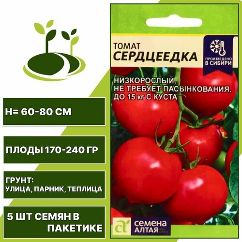 ���� ����� ���������� 1 �� ��, ������ �����, ���������� ����� � �������� 5 ��, ������ �� 291 ���