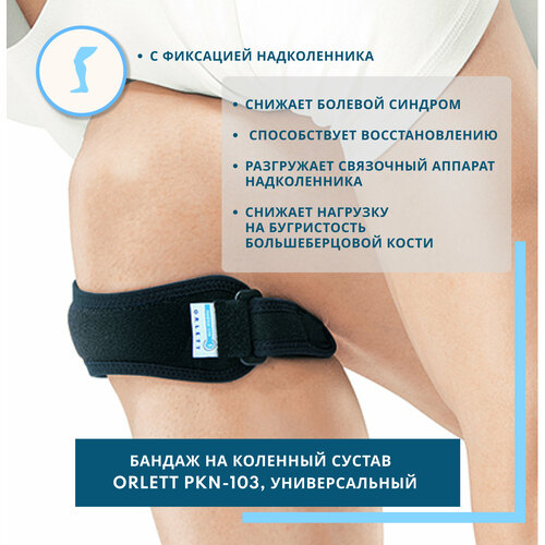 ���� Orlett ������ �� �������� ������ PKN-103, ������ �������������, ������, ������ �� 2290 ���