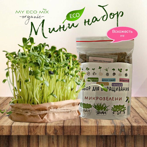 ���� ���� ����� ����������� (�������+������+�����-�����+������+������), ������ �� 590 ���