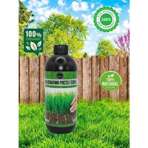  Crazy Jack Green Lawn    500   -     , -, 