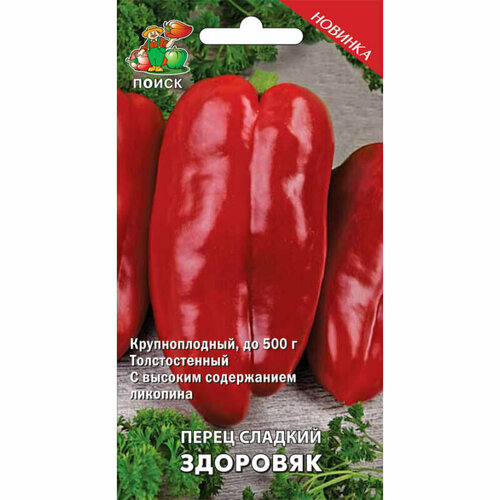 ���� ������ ����� ������� 