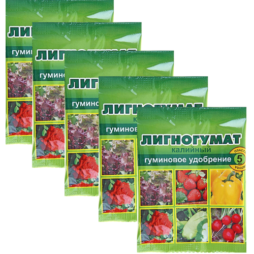    (20% -  ), (5   5) -  ,   ,   430 